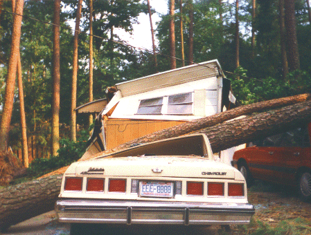 Smashed by fallen pine trees, a mobile home and vehicles