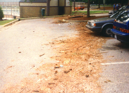 Flood line at Lake Johnson