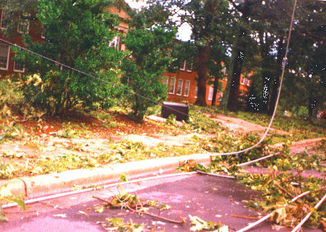 Power lines down on Dixie Trail