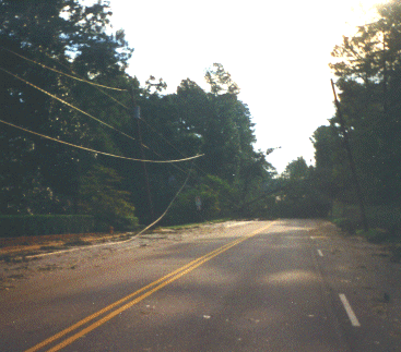 Power lines damaged