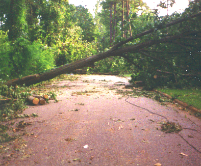 Blocked street