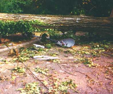 streetlight smashed on road