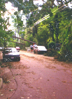 bent power poles